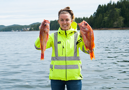 Proveedores de confianza de alimentos para animales ACANA™: Pescado salvaje de agua salada, Keltic Seafoods